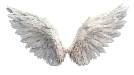 Obraz premium Wings of Serenity: Exquisite, feathered wings in a pristine display, evoking a sense of tranquility and soaring freedom, an artistic expression that captivates.