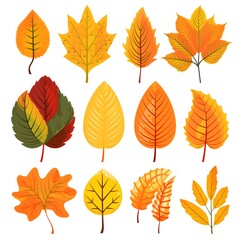 Fototapeta premium Professional Autumn Leaf Set for Creative Designs - Yellow, Orange, Red, and Green Colors
