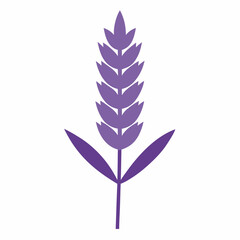 Lavender Silhouette icon on white background