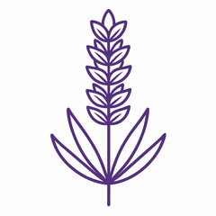 Lavender outline icon on white background