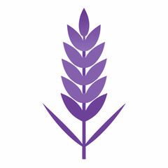 Lavender Silhouette icon on white background