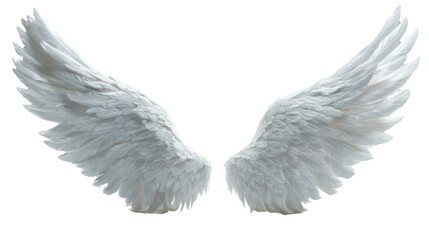 Obraz premium Angelic Wings: A pair of large, majestic white wings, exquisitely detailed, extend outward, symbolizing purity, freedom, and spirituality.