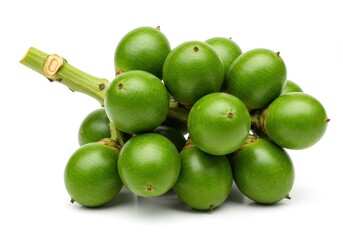 Obraz premium Fresh green betel nuts cluster isolated on white background