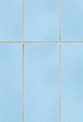 Light blue patterned wall tiles.