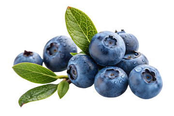 blueberries with leaves