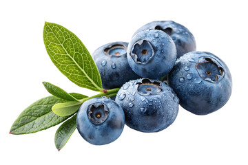 Fototapeta premium blueberries with leaves