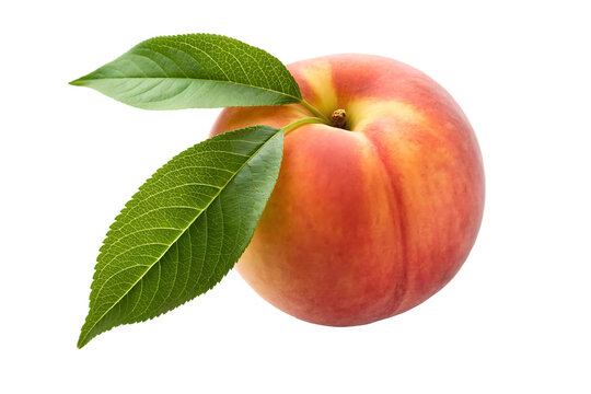 peach isolated on white background