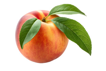 peach isolated on white background