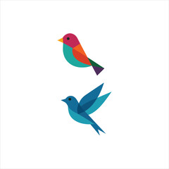 birds