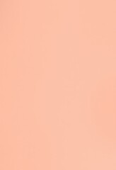 Plain, uniform peach-colored background.