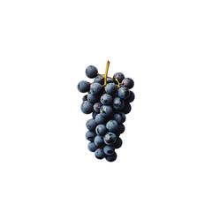 Fototapeta premium Fresh grapes hanging in cluster, showcasing their rich purple color and natural texture, perfect for healthy snacking or culinary use