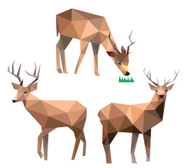 Deer Animal Set in low poly polygonal.  Deer Icon in abstract set. Vector of Deer collection. deer polygon illustration for kids animal book