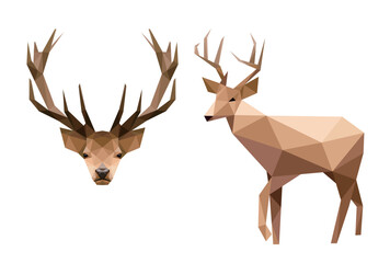 Deer face head illustration polygon. Deer in Polygonal low poly vector. Deer head low poly. Deer head logo for kids animal book