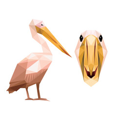 Pelican in Polygonal low poly vector. Pelican face head illustration polygon. Pelican head vector for kids animal book