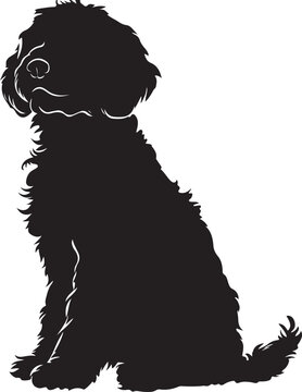 Goldendoodle Dog Silhouette Vector Illustration on Transparent Background