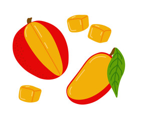 Mango fresh tropical exotic fruit. Sliced, cut, peeled fruit. Vector hand-drawn illustration, isolated on white background.