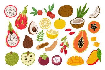 Tropical exotic fruits set. Hand drawn colorful doodle collection. Sketch style. Pitahaya, mango, papaya, coconut, yuzu. Vector illustration, isolated on white background.