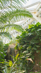 Tropical Forest at Botanic Garden