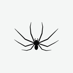 Spider Silhouette Abstract Design – Black and White Minimal Art on Simple Background