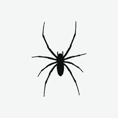 Spider Silhouette Abstract Design – Black and White Minimal Art on Simple Background
