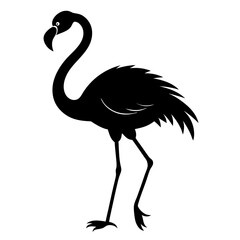 vector illustration of a ostrich