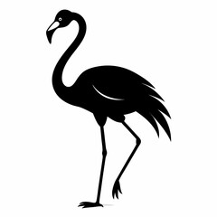 illustration of a flamingo