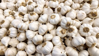 White garlic pile texture. Fresh garlic on market table closeup photo. Vitamin healthy food spice image. Spicy cooking ingredient picture. Pile of white garlic heads.