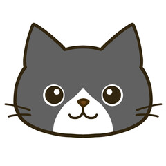 シンプルなまん丸目のハチワレ黒猫