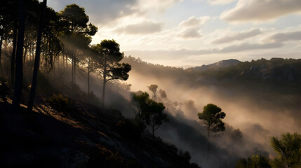 Misty Mountain Valley At Golden Hour
