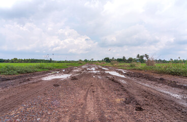 Puddles muddy from car wheels. obstacles on rural dirt road rainy season. view of rice fields on both sides sky and white clouds after rain in countryside Nakhon Pathom Thailand.