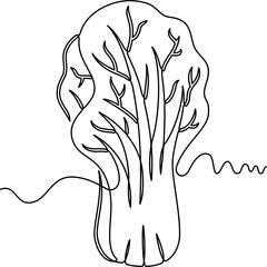 one line art Bok Choy vector illustration. line art, one continuous line, simple, hand drawn and sketch style. for icons, symbols, signs or logos. PNG