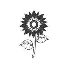 sunflower vector illustration