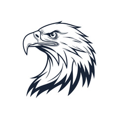 american bald eagle