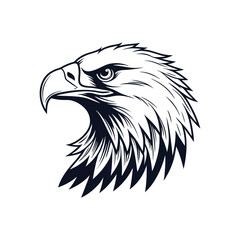 eagle head vector illustration