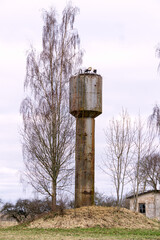Stork nest on an old water tower in early spring.