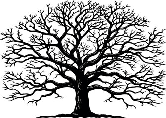 Assortment of Bare Tree Isolated Branches Silhouettes