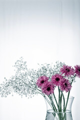 Blumen in Vase auf weiß