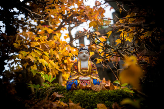 Buddha statue in a maple bonsai forest in autumn, meditation.