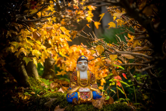 Buddha statue in a maple bonsai forest in autumn, meditation.
