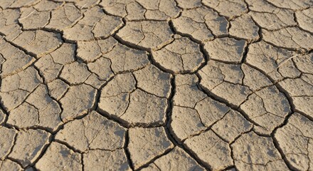 Cracked Earth Arid Landscape Texture and Drought Photography