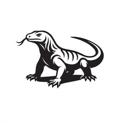 komodo dragon on white background