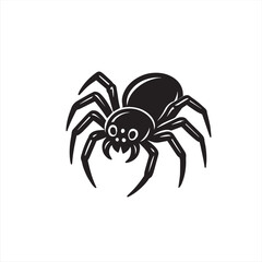 black spider isolated on white background