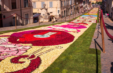 Flower petals carpet, decoration of multicolored cut flowers