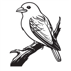 Obraz premium bird on a branch