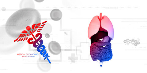 

3d illustration human digestive system