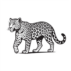 leopard vector illustration