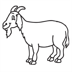 vector illustration of a goat