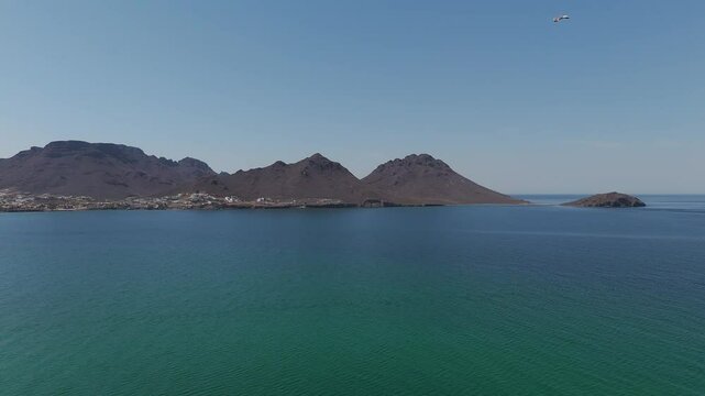 Pelican flying over guaymas coastline, sonora, mexico
