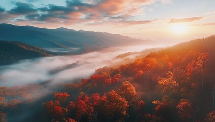 Autumnal mountain valley shrouded in mist at sunrise