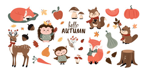 A collection of hand-drawn forest, funny animals, fruits, vegetables and autumn leaves. Vector design on a white background. © Alyona 